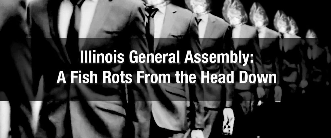 Illinois General Assembly: A Fish Rots From the Head Down