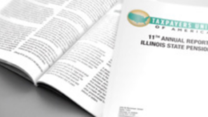 11th Annual Report Illinois State Pensions