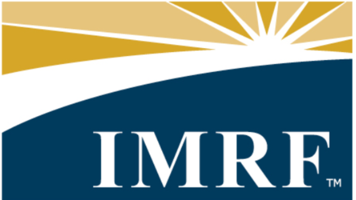 The Gold Standard in Taxpayer Abuse: Illinois Municipal Retirement Fund